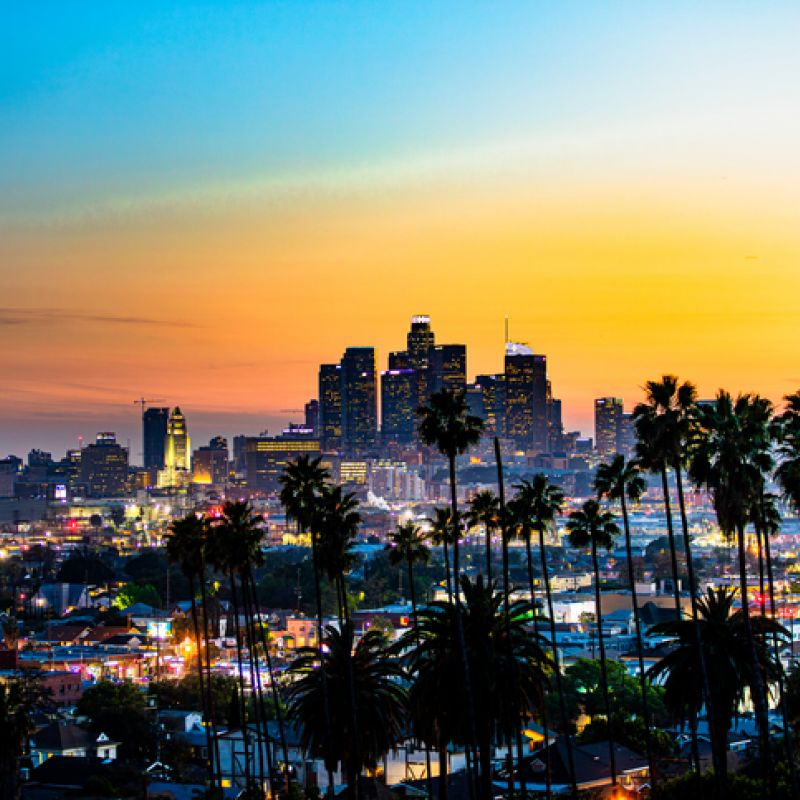Los Angeles skyline — Vigilant Eye Security service area