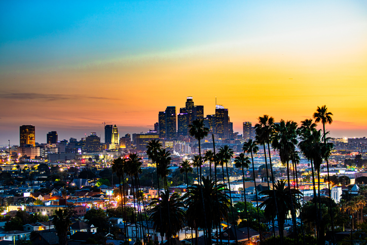Los Angeles skyline — Vigilant Eye Security service area